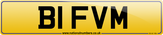 B1 FVM