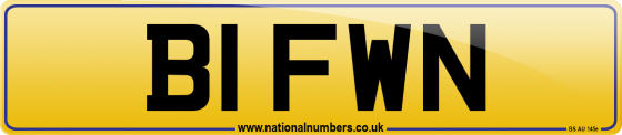 B1 FWN