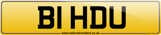 B1 HDU