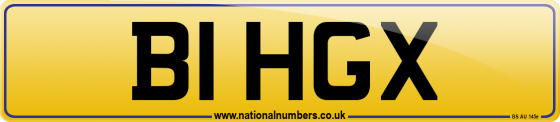 B1 HGX