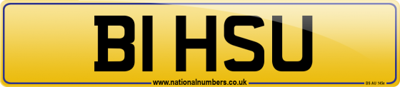 B1 HSU