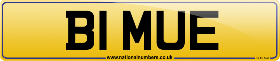 B1 MUE