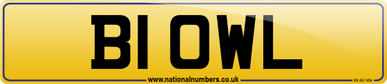 B1 OWL