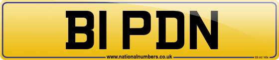 B1 PDN