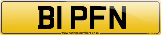 B1 PFN