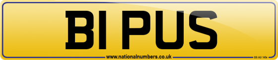 B1 PUS