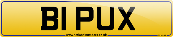 B1 PUX