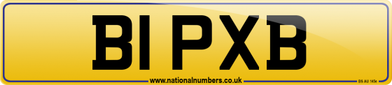 B1 PXB