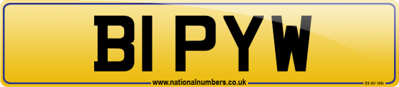 B1 PYW