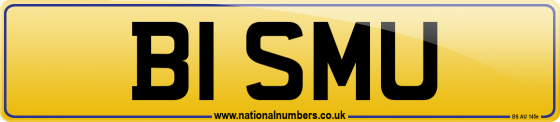 B1 SMU