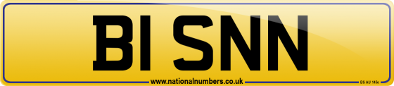 B1 SNN