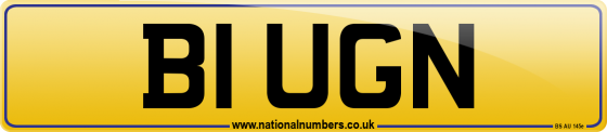 B1 UGN