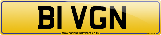B1 VGN
