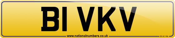 B1 VKV