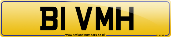 B1 VMH
