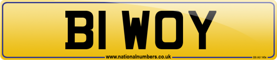 B1 WOY