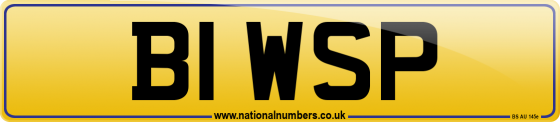 B1 WSP