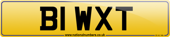 B1 WXT