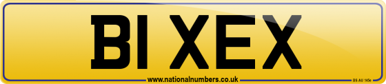 B1 XEX