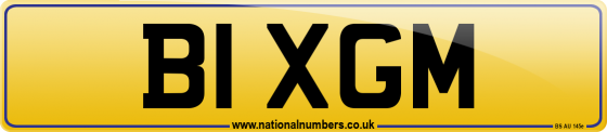 B1 XGM