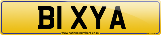 B1 XYA