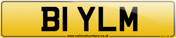 B1 YLM