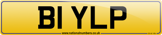 B1 YLP