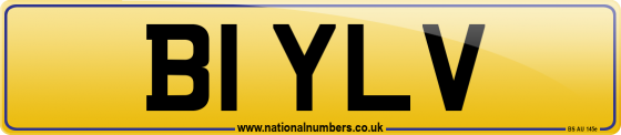 B1 YLV