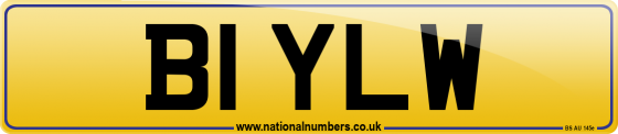 B1 YLW