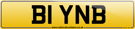 B1 YNB