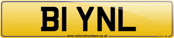 B1 YNL
