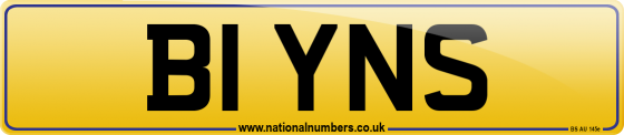B1 YNS