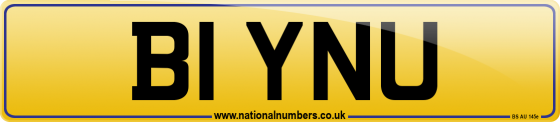 B1 YNU