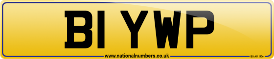 B1 YWP