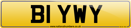 B1 YWY