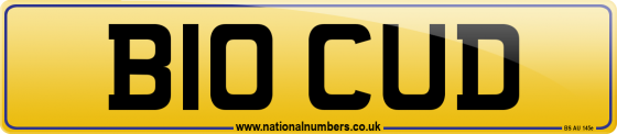 B10 CUD