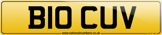 B10 CUV