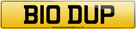 B10 DUP
