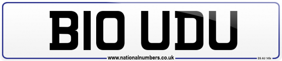 B10 UDU