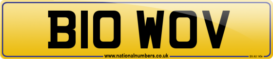B10 WOV