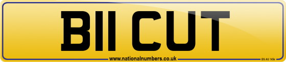 B11 CUT