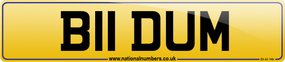 B11 DUM
