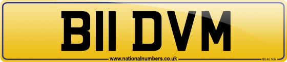 B11 DVM