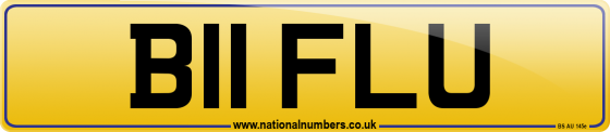 B11 FLU