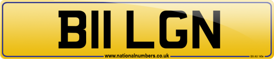 B11 LGN