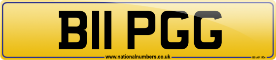 B11 PGG