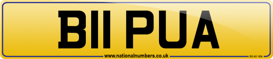B11 PUA