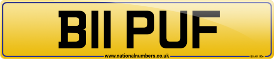 B11 PUF