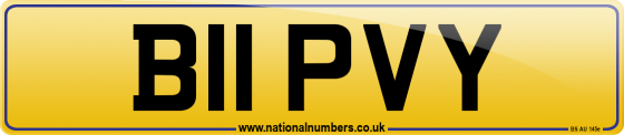B11 PVY
