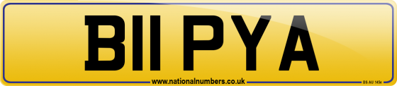B11 PYA